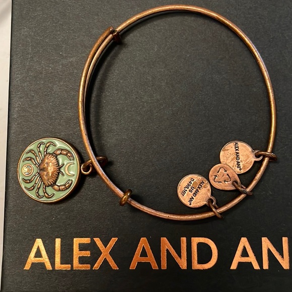 Jewelry Clean Alex Ani Bracelets Ani Jewelry How Do I Clean My Alex And Ani  Bracelets Cleaning Alex